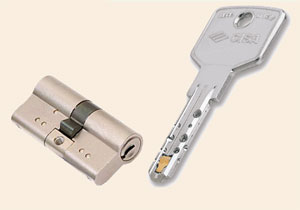 Цилиндры (личинки) Cisa RS-3